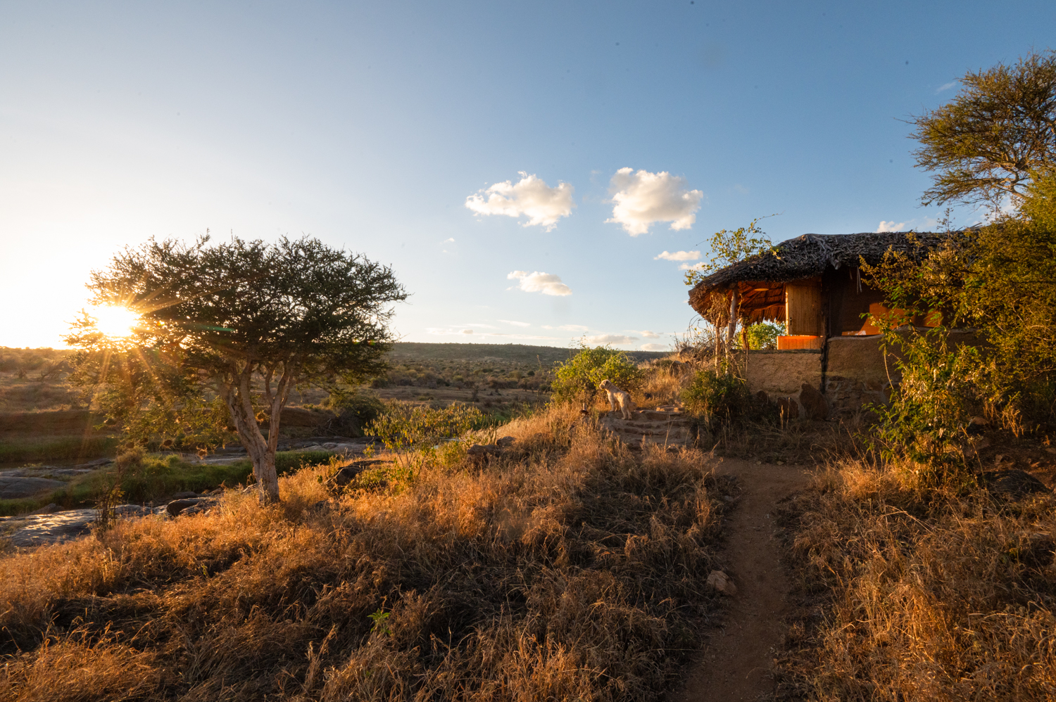 Laikipia Wilderness River Camp: Ansicht Gästebungalow
