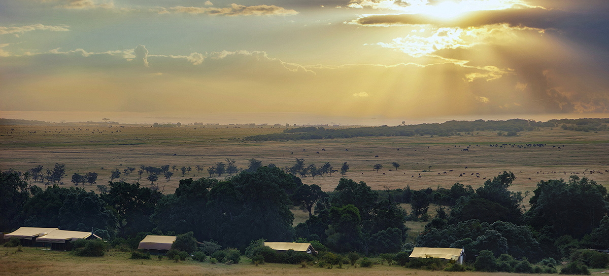 Porini Lion Camp, Camp, Kenia, Lion, Löwen