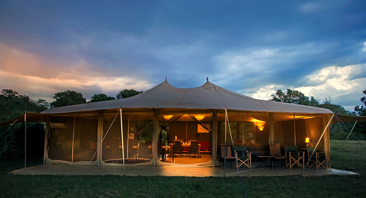 Porini Lion Camp, Camp, Kenia, Lion, Löwen