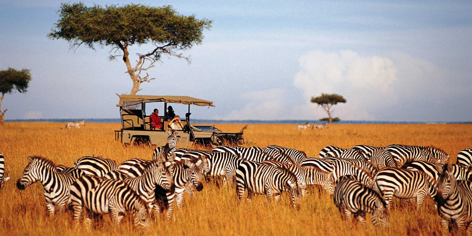 Saruni Mara Camp: Game Drive