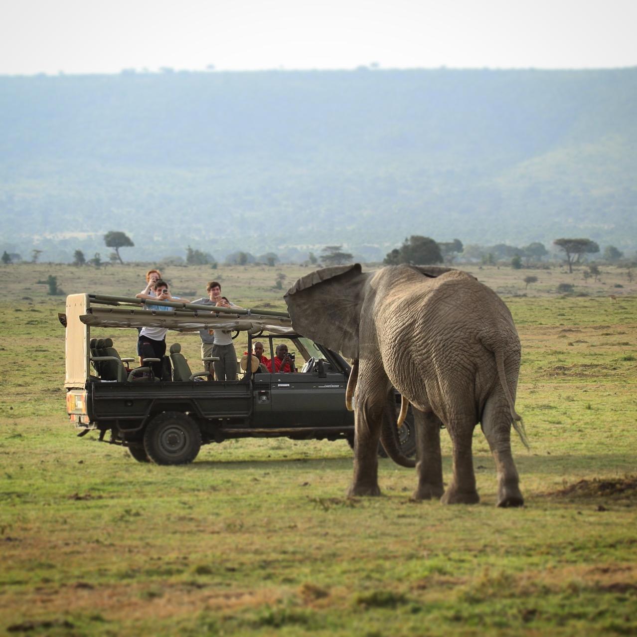 Serian's Nkorombo Mobile Camp: Elefant