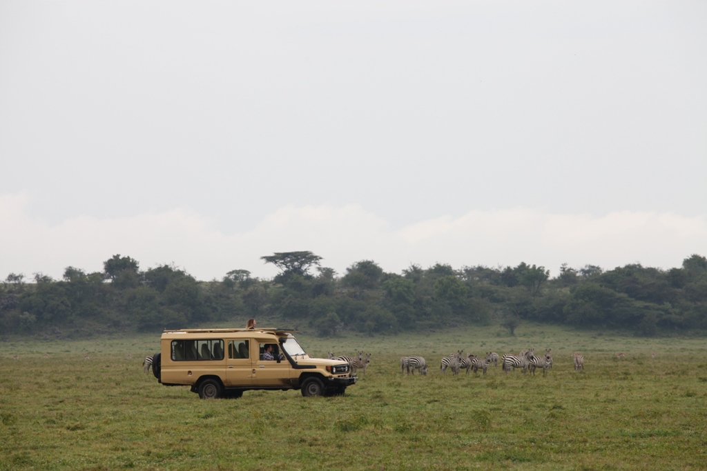 Afrika, Eburru Forest, Grabenbruch, Großer Afrikanischer Grabenbruch, Jaqueline und Jean-Francois Damon, Kenia, Krater, Lake Elementaita, Lake Nakuru, Lake Nakuru Nationalpark, Mawe Mbili, Nachhaltigkeit, Nakuru Nationalpark, Natur, Rothschildgiraffe, Safari, Savanne, Sleeping Warrior Krater, Sleeping Warrior Lodge, Soysambu Naturschutzgebiet, Spitzmaulnashorn, Umwelt, Vulkan, Game Drives, afrikarma, afrikarma.de