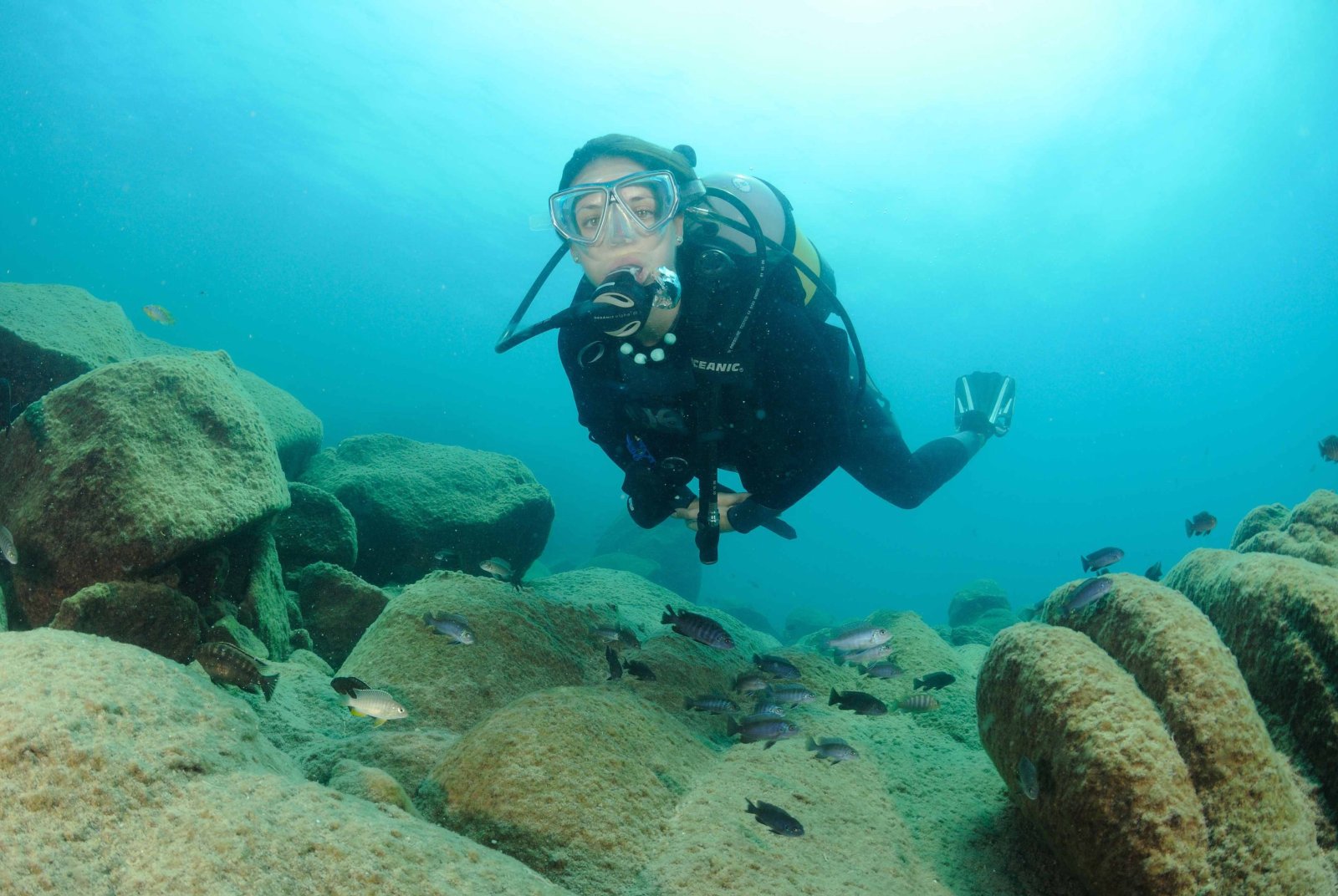 Kaya Mawa: Taucher Kaya Mawa: Taucher