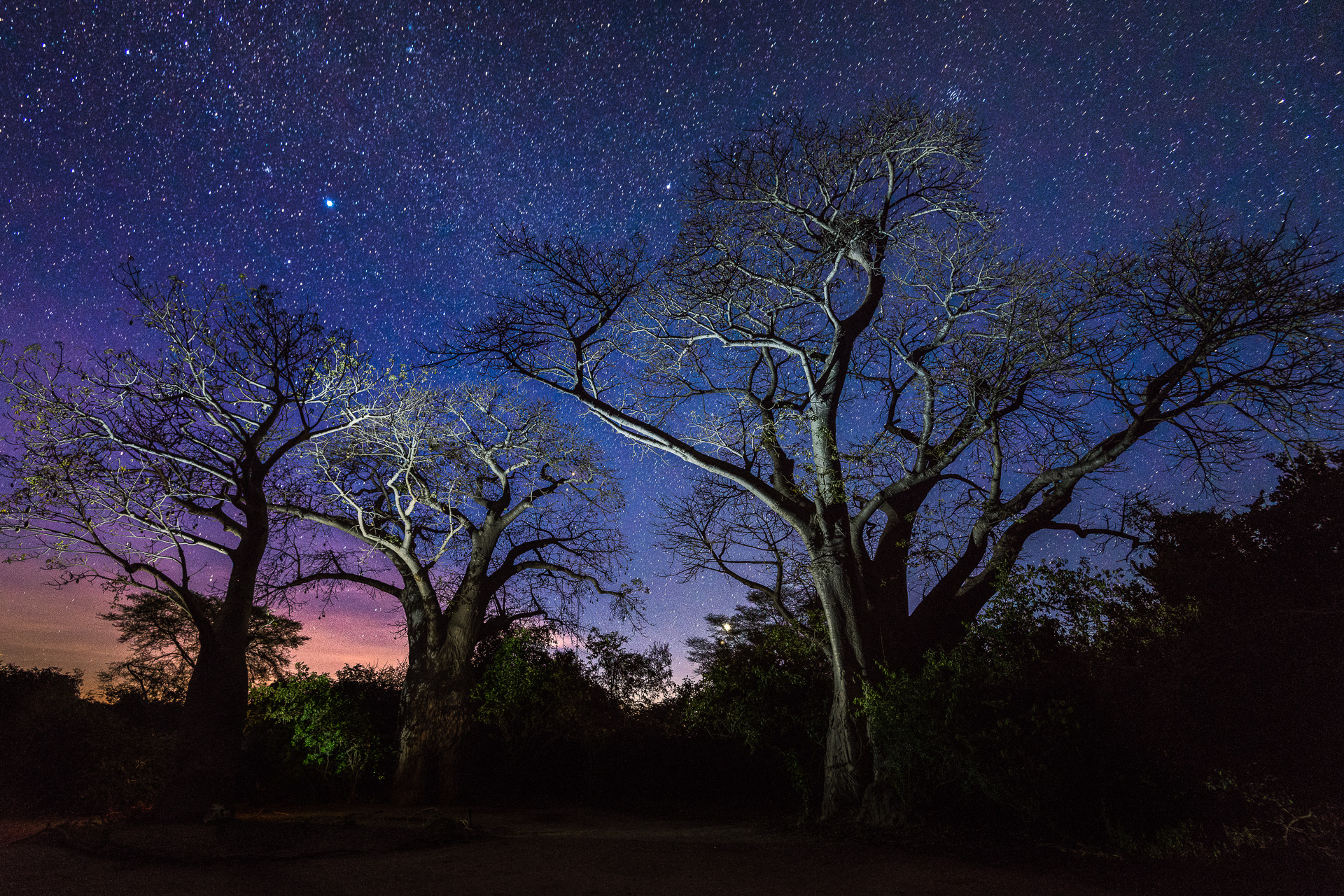 Kuthengo Camp: Sterne über dem Camp