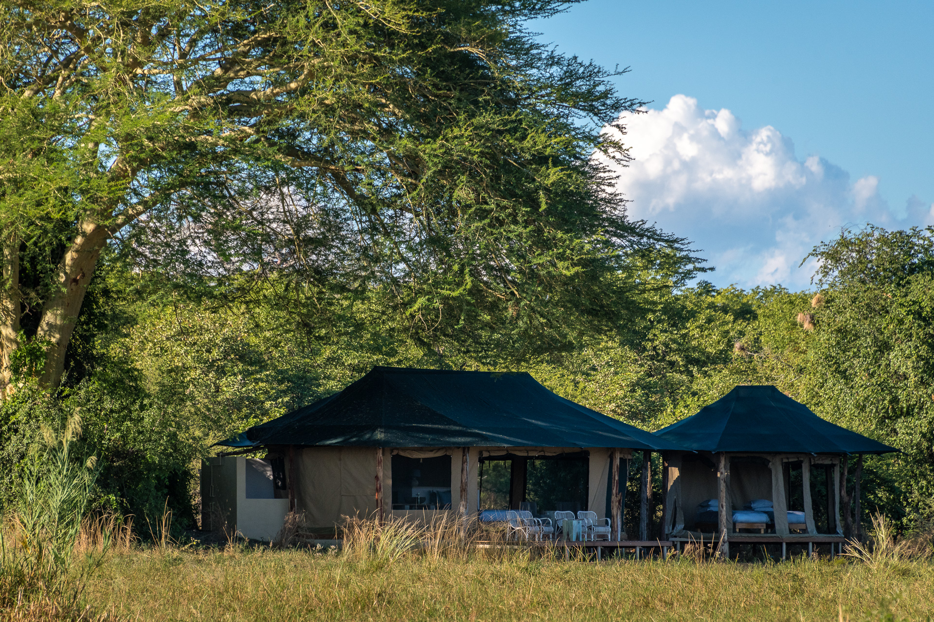 Kuthengo Camp: Unter Bäumen