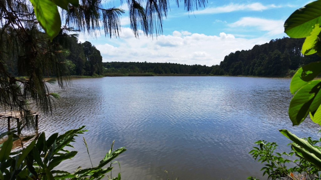 Luwawa Forest Lodge: Am Luwawa Damm