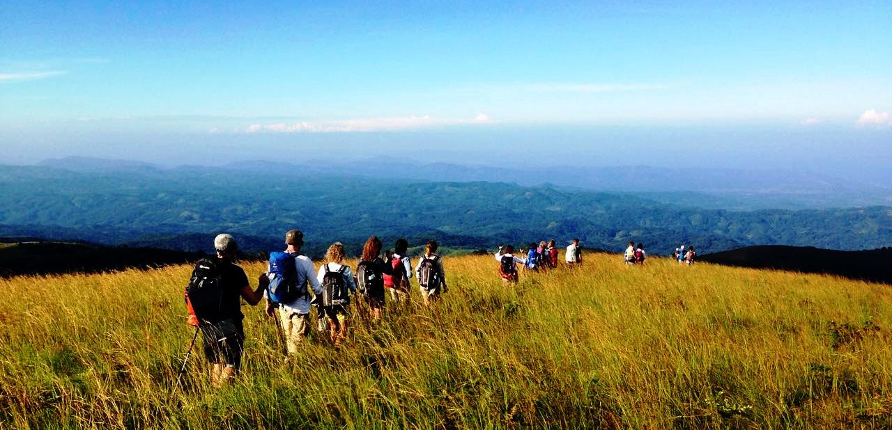 Luwawa Forest Lodge: Wanderung in den Viphya Mountains