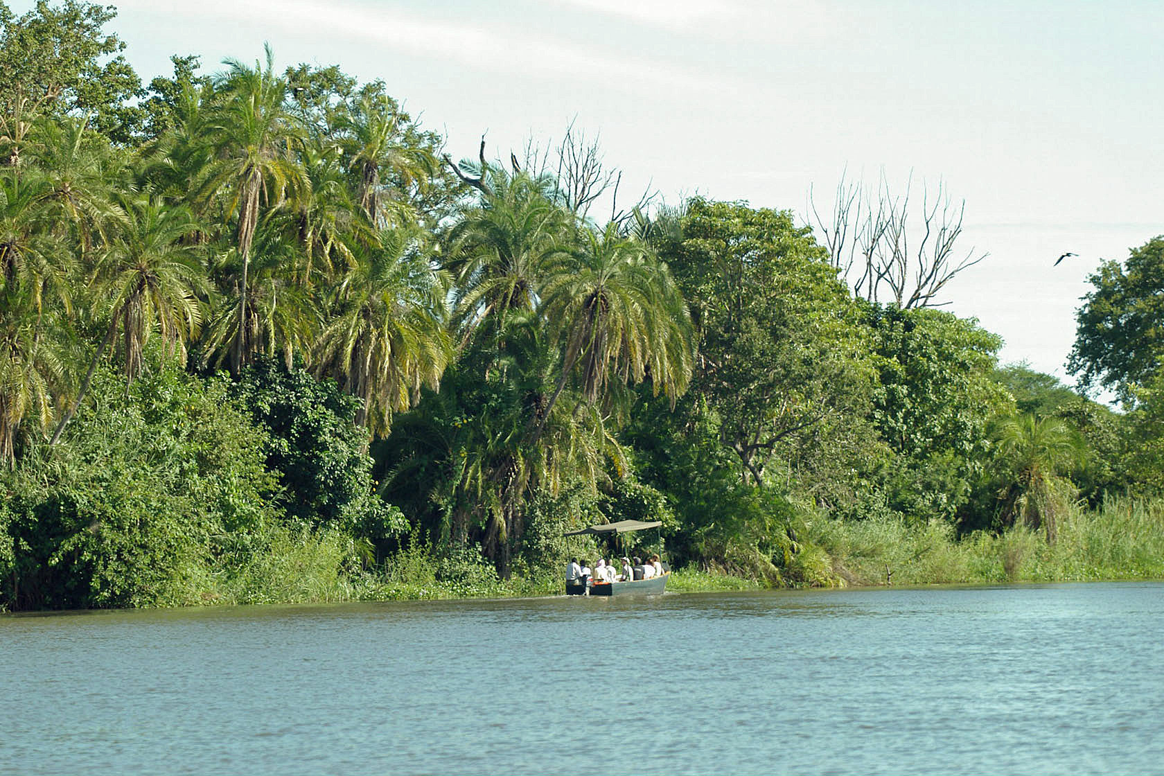 Afrika, afrikarma, Elefant, Hippo, Liwonde, Liwonde Nationalpark, Malawi, Motorbootsafari, Mvuu, Mvuu Camp, Mvuu Wilderness Camp, Nashorn, national park, Nilpferd, Reise, Reisen, Reiseveranstalter, Rhino Sanctuary, Safari, Sanctuary, Schutzgebiet, Shire, Spitzmaulnashorn, Urlaub, Wilderness Safaris, Aktivitäten, Boot, Fluss, Motorboot, Wasser