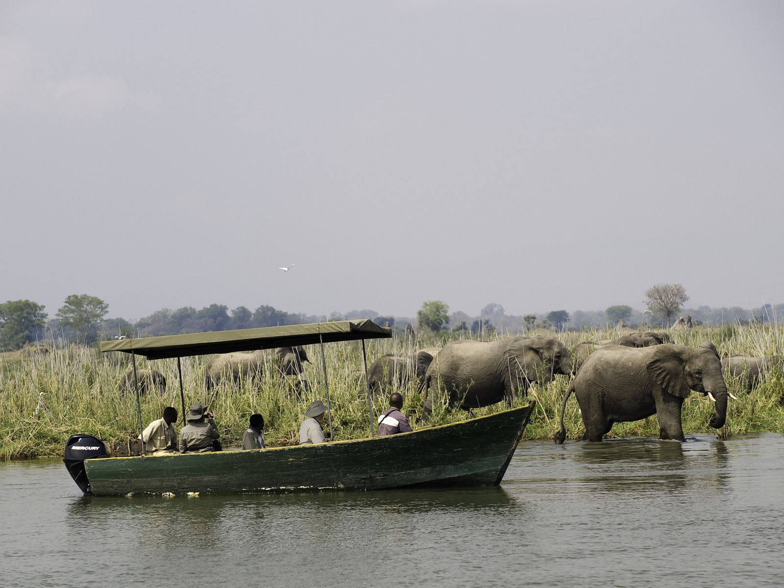 Mvuu Lodge: Safari mit dem Boot
