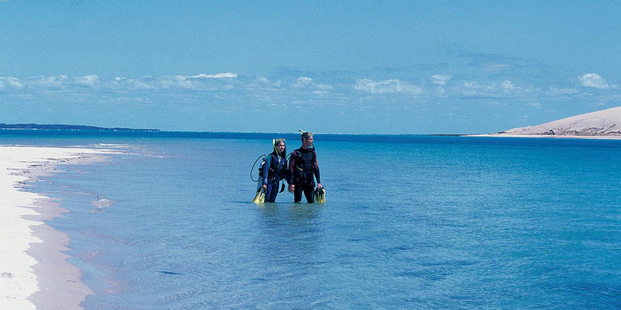 Anantara Bazaruto Island Resort and Spa: Tauchen beim Pansy Island Anantara Bazaruto Island Resort and Spa: Tauchen beim Pansy Island