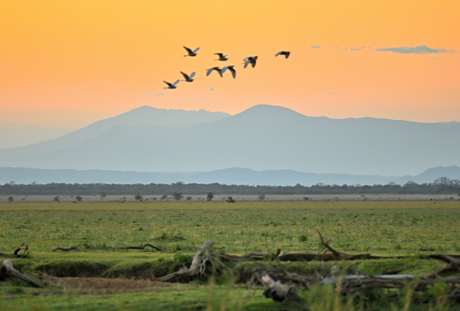 Chicari Camp: Blick auf die Umgebung