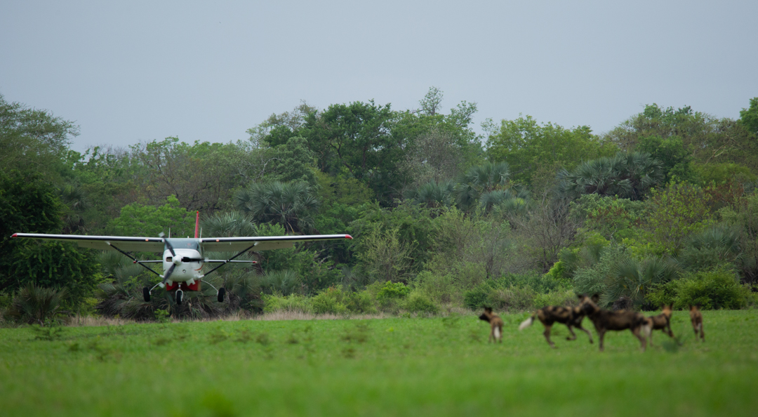 Muzimu Lodge: Flugzeug im Anflug