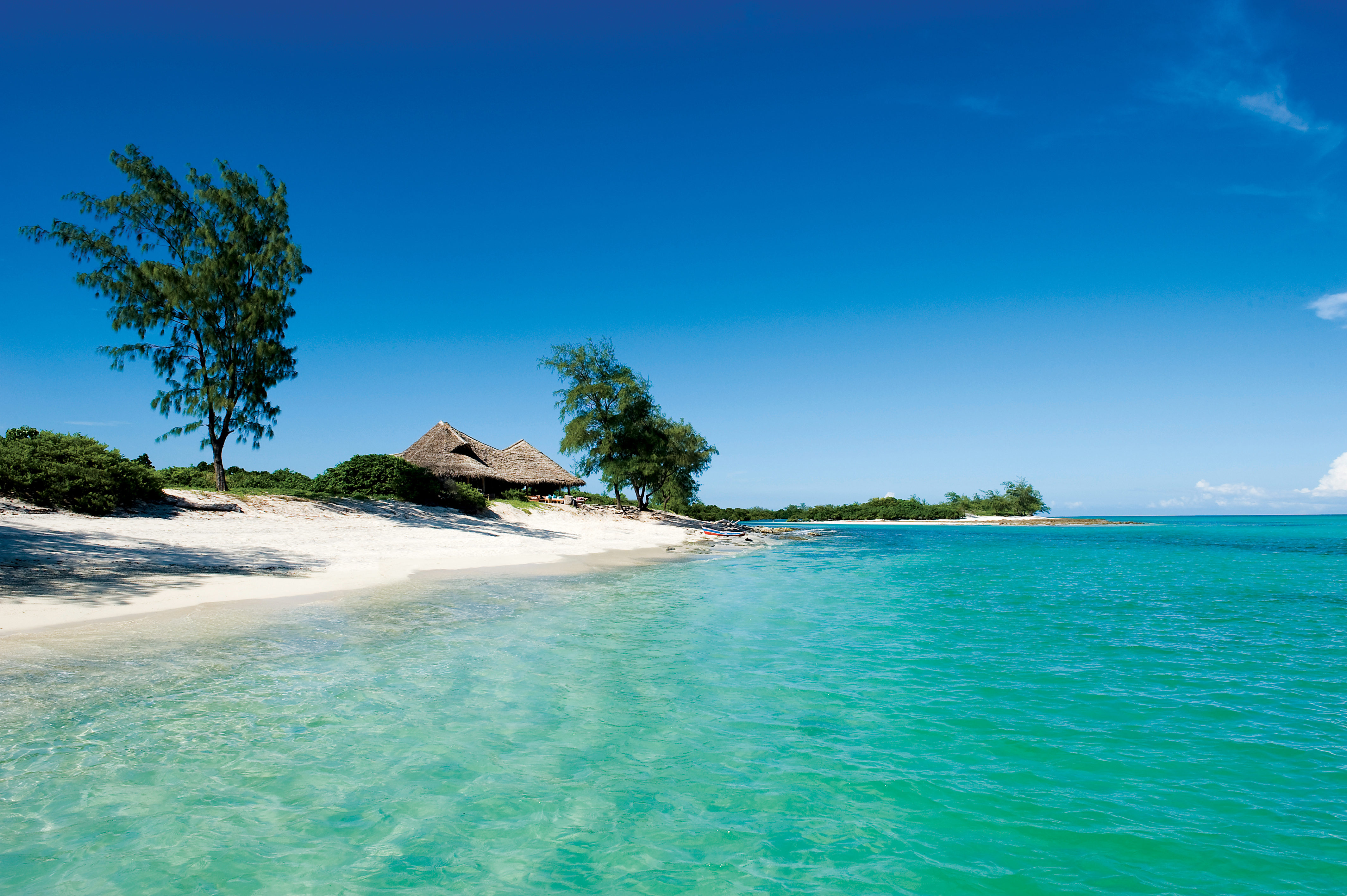 Vamizi Island: Küste