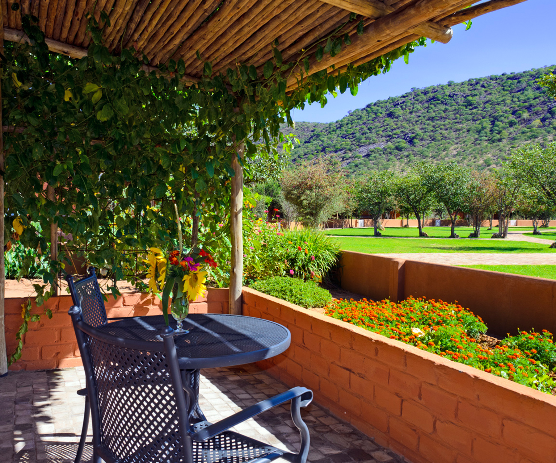 Damara Mopane Lodge, Damaraland, Khorixas, Namibia, Außenanlage, Aussicht, Natur, Pflanzen, Terrasse, Afrikarma, Afrikarma Safaris, Afrikarma Safaris - Wildnis. Hautnah., Afrikarma.de