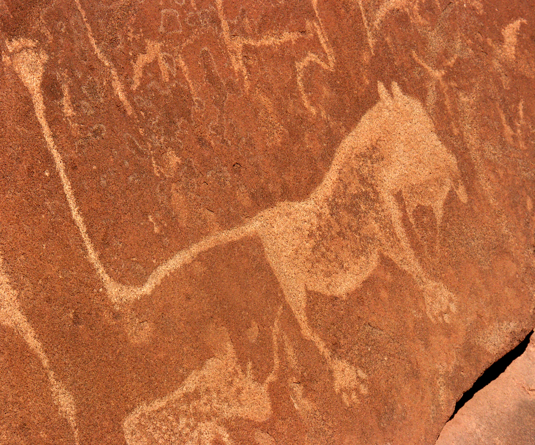 Damara Mopane Lodge, Damaraland, Khorixas, Namibia, Felsmalerei, Geschichte, Kunst, Twyfelfontein, Afrikarma, Afrikarma Safaris, Afrikarma Safaris - Wildnis. Hautnah., Afrikarma.de