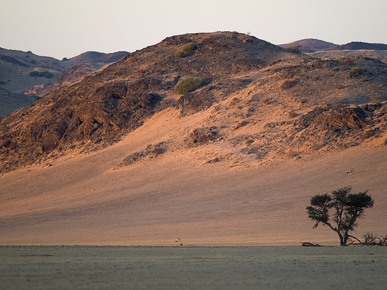 4 Sterne, Damaraland, Damaraland Camp, Kunene, Spitzmaulnashorn, Torra Conservancy, Wüstenlandschaft, Huab River, Huab-Tal