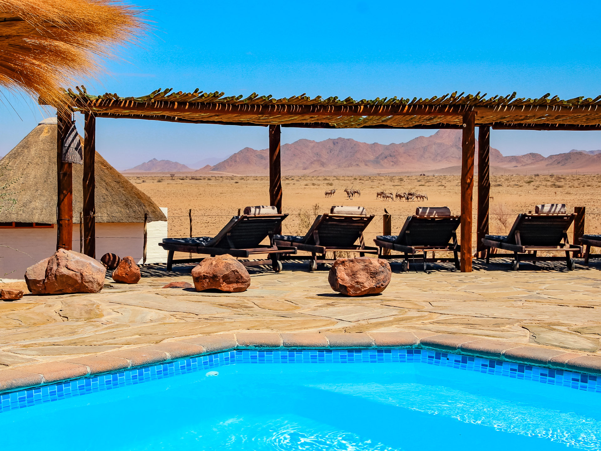 Desert Homestead: Liegen hinter dem Pool