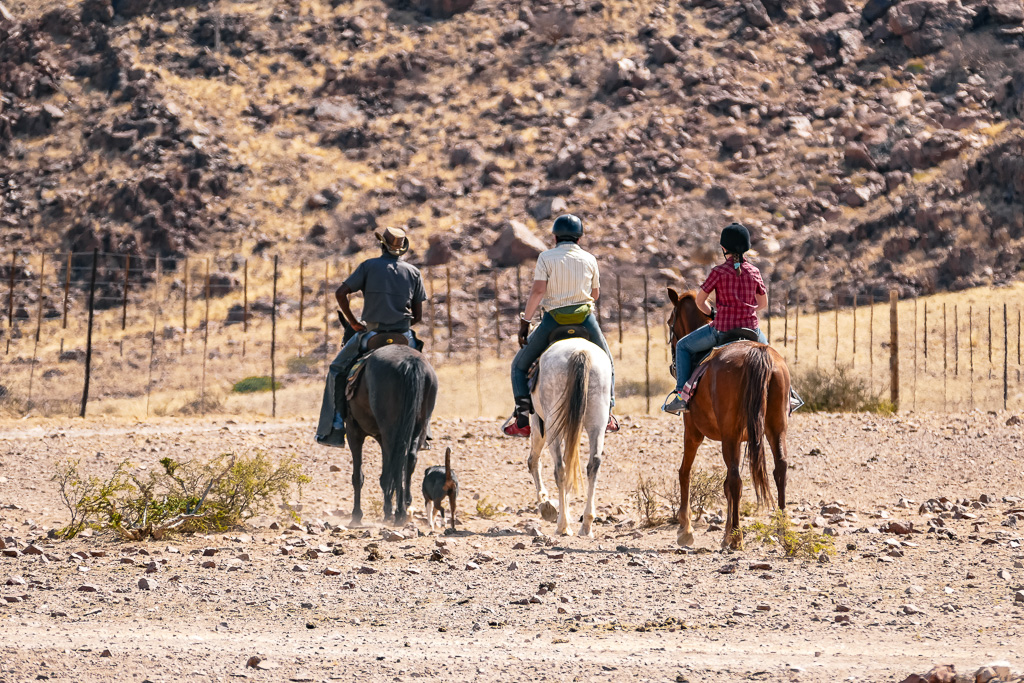 Desert Homestead: Ausritt mit Hund