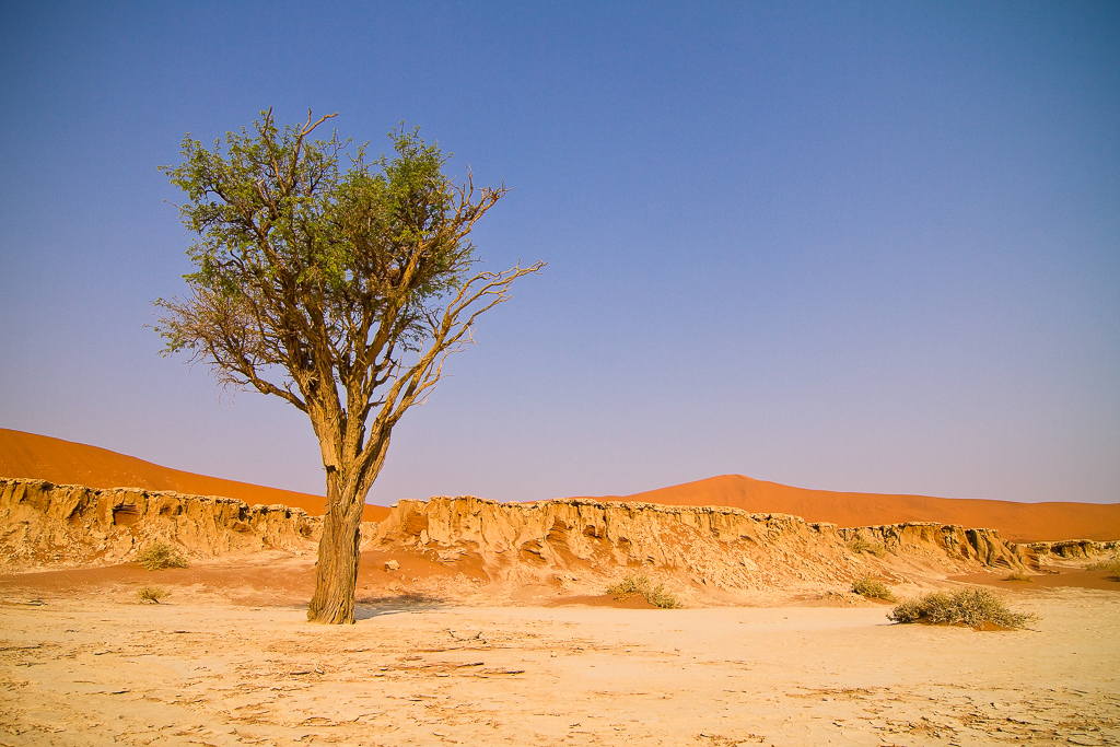 Desert Homestead Outpost, landschaft, Namib, reitsafari namibia