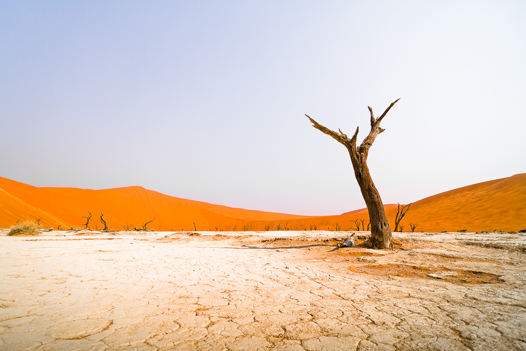 Desert Homestead Outpost, landschaft, Namib, reitsafari namibia