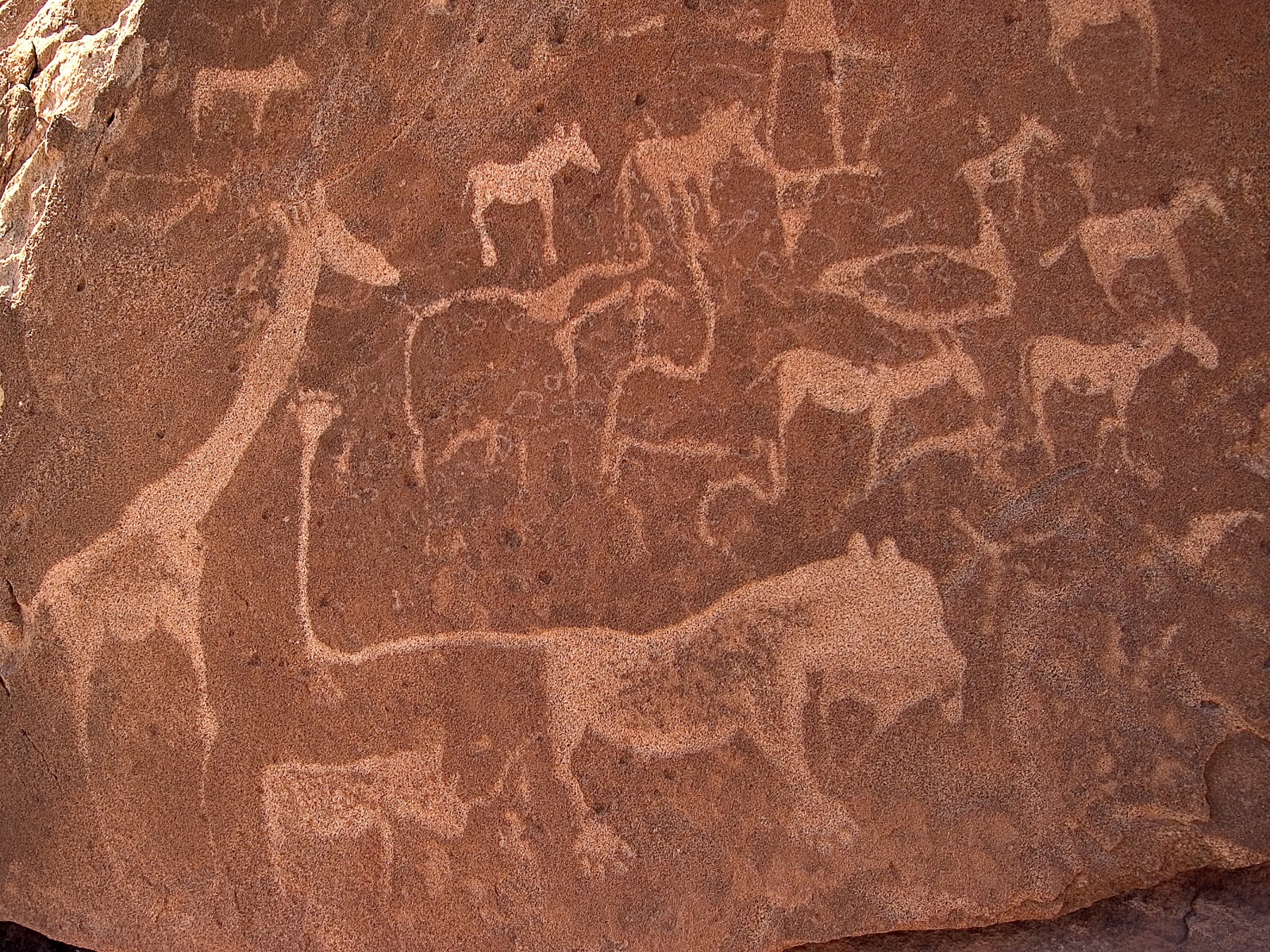 Doro Nawas: Versteinertes Wild