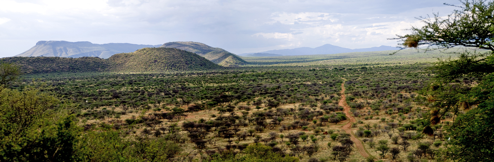 Erindi Game Reserve: Weites Land Erindi Game Reserve: Weites Land