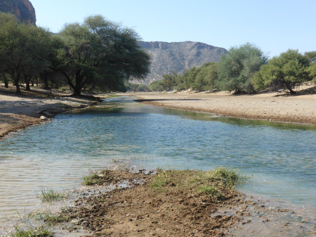 Fort Sesfontein: Ein Flusslauf Damaraland, Fort Sesfontein, Kaokoveld, Namibia, Hoanib, Trockenfluss, Fluss, Afrikarma, Afrikarma Safaris, Afrikarma Safaris – Wildnis. Hautnah., afrikarma.de