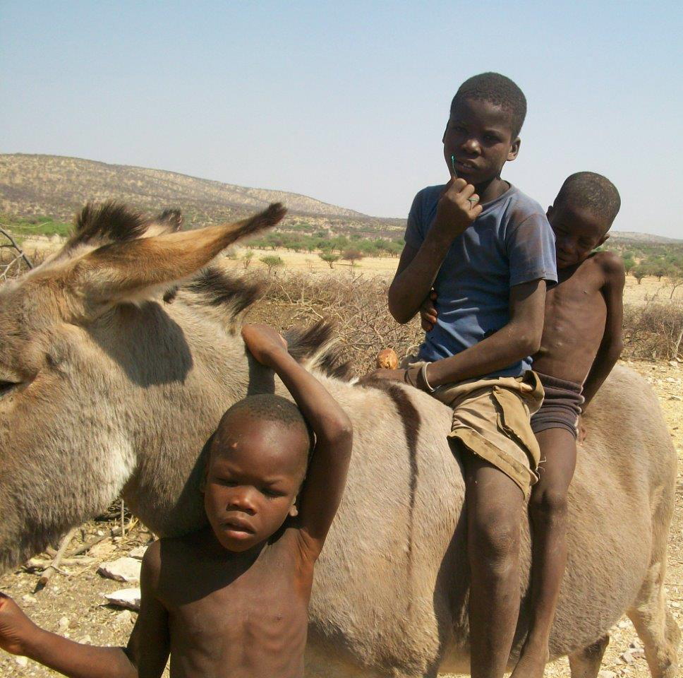 Fort Sesfontein: Der Himba-Kinder mit einem Esel