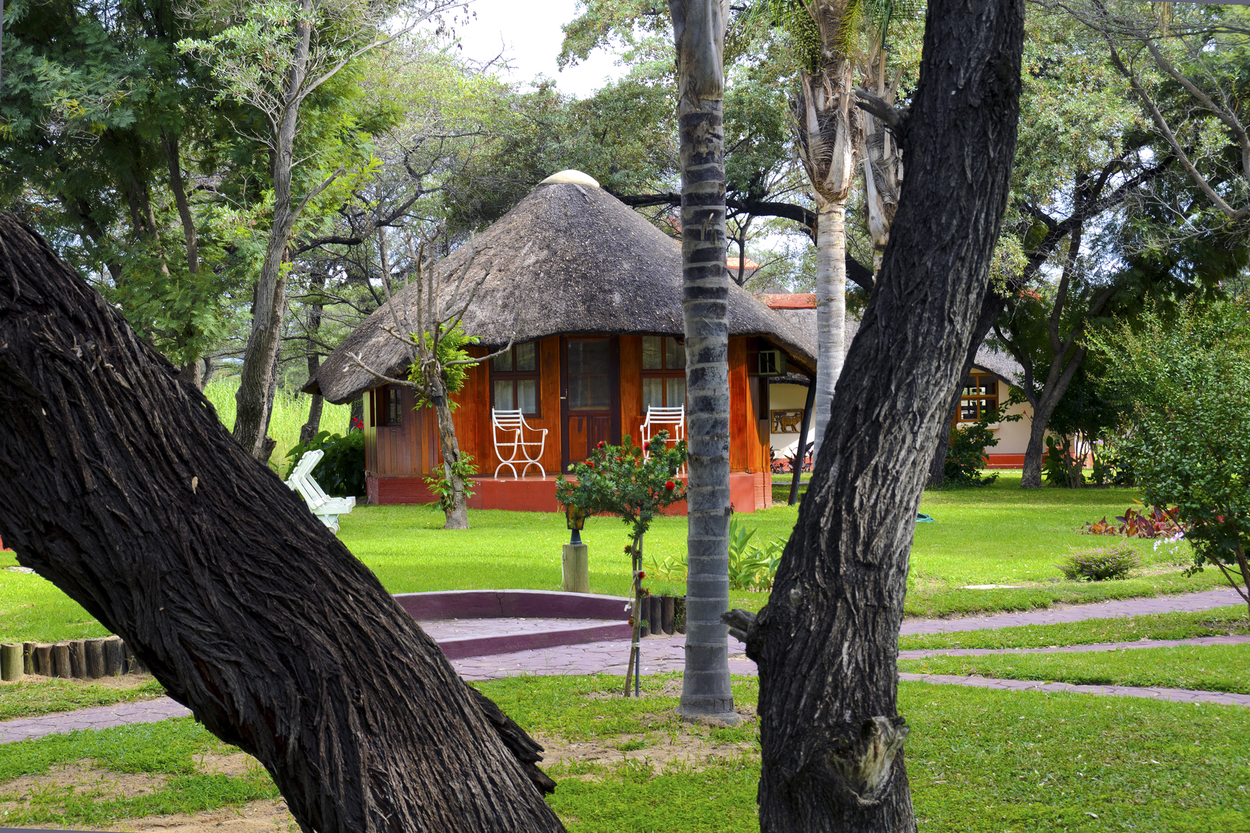 Hakusember River Lodge, Okavango, Bäume, Garten, Gästechalet, Rasen, afrikarma, afrikarma Safaris, afrikarma.de
