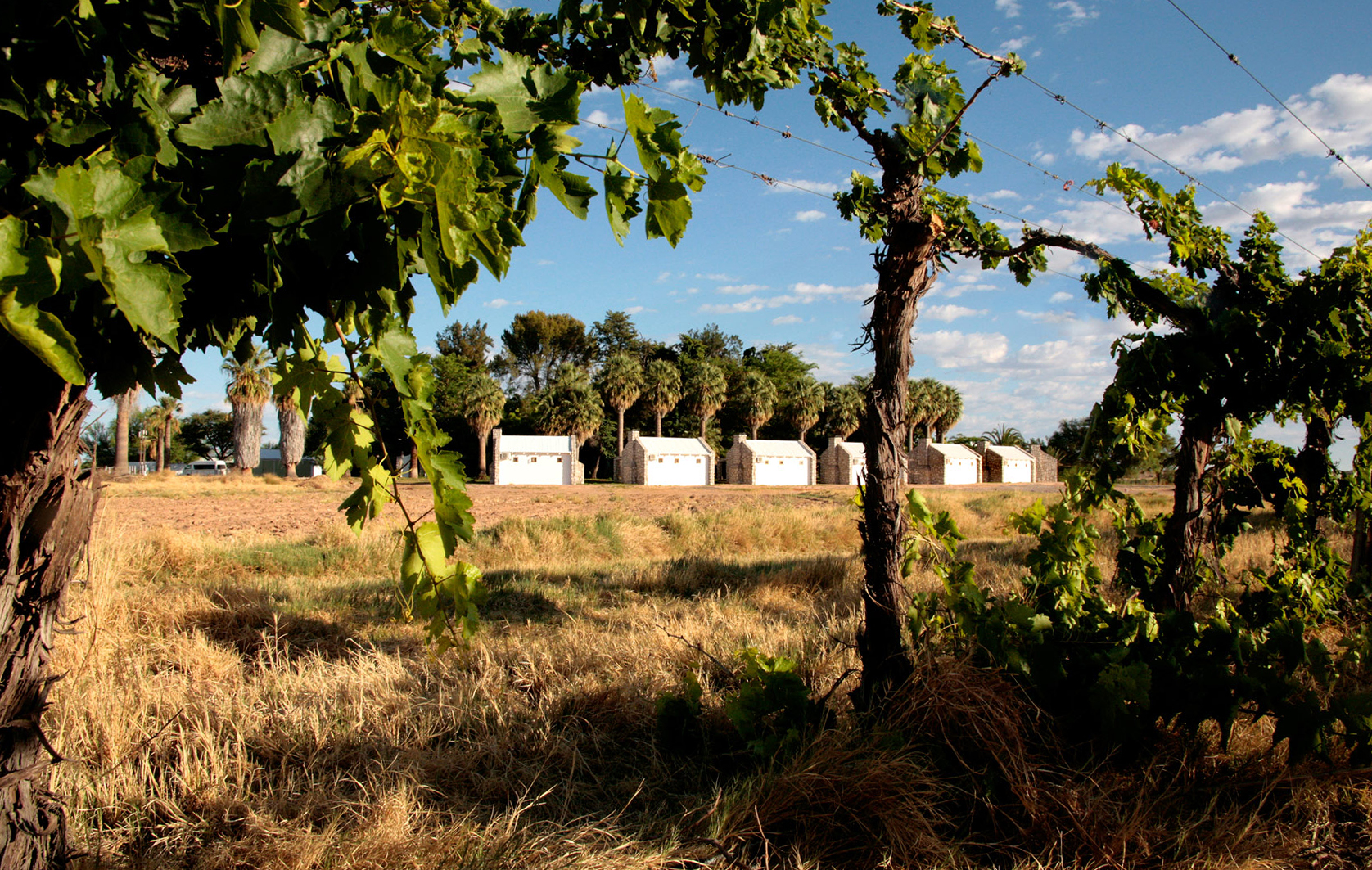 Dünen, Gondwana Collection, Kalahari, Kalahari Farmhouse, Roter Sand, Gästechalets, Palmen, afrikarma, afrikarma safaris, afrikarma.de