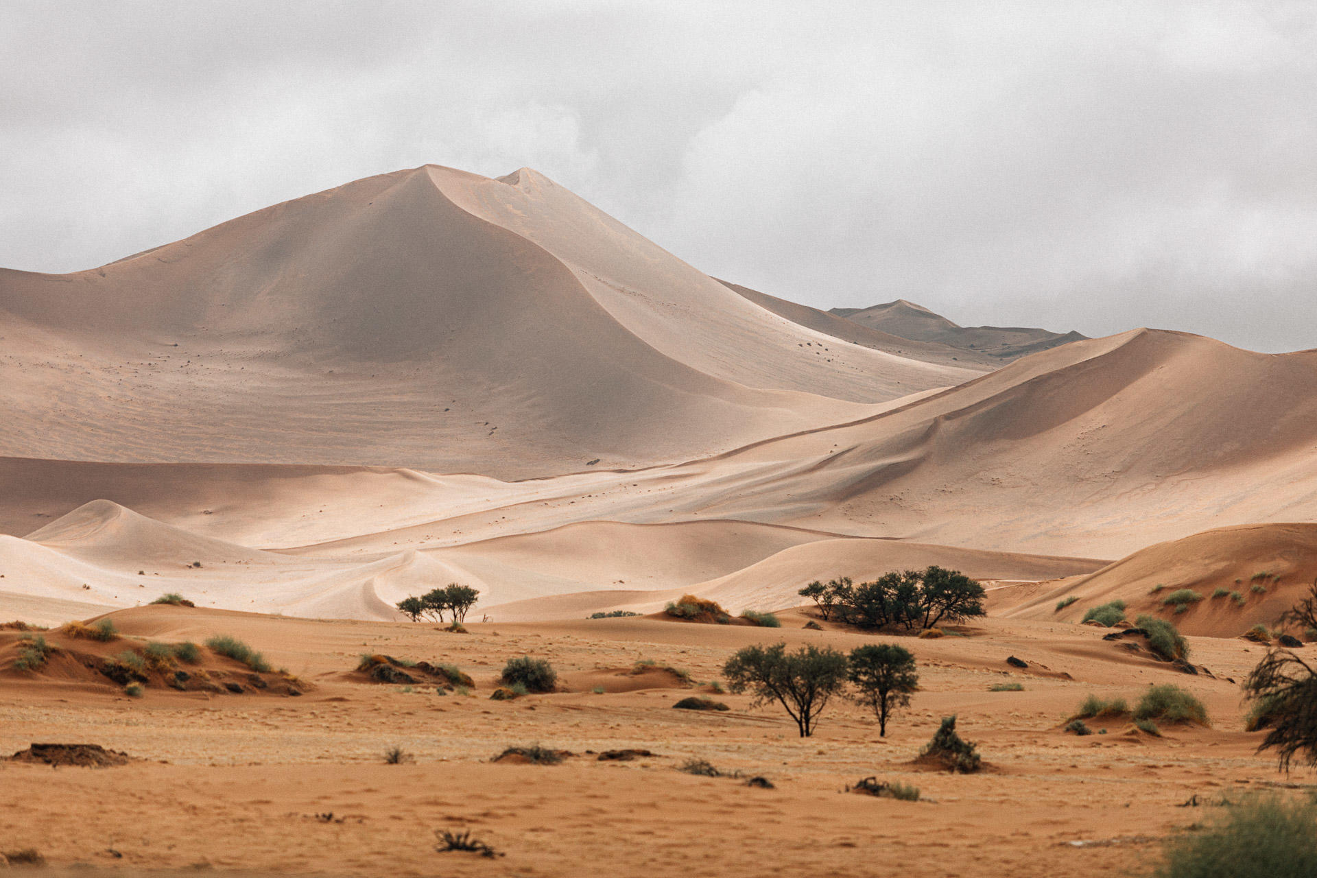 Kulala Desert Lodge: Die Namib Wüste