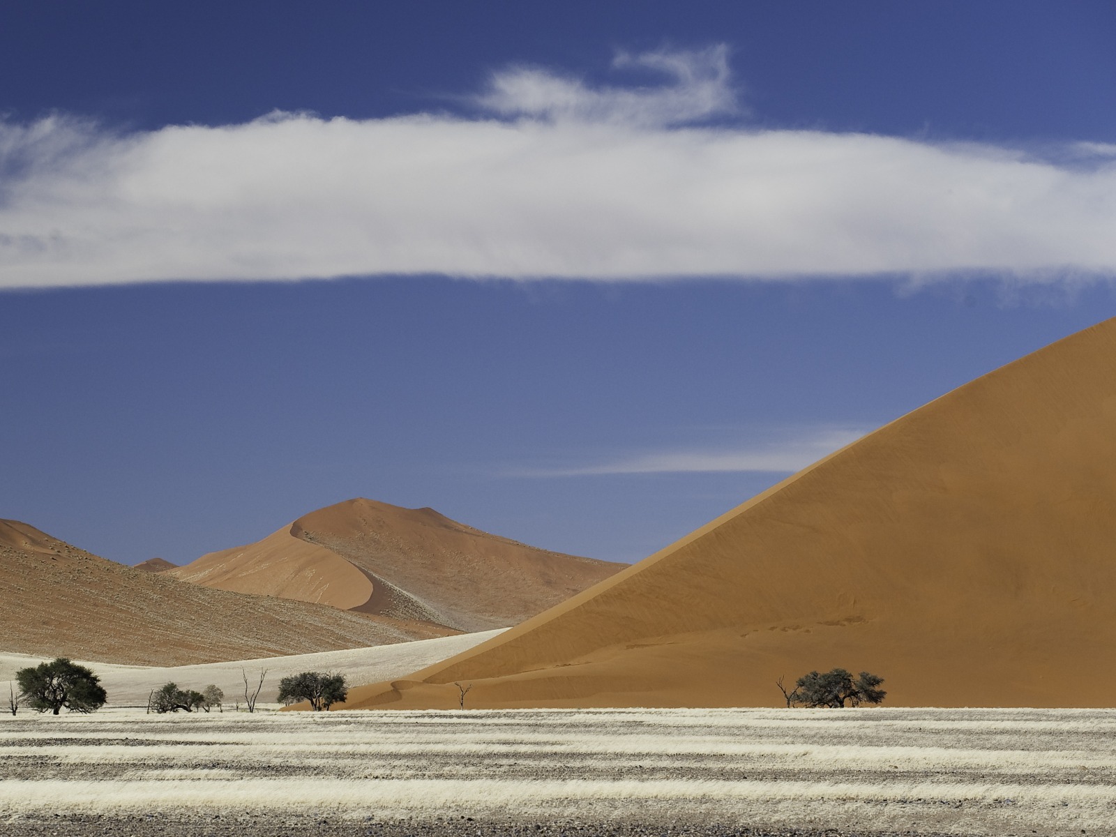Little Kulala: Wunderschöne Sanddünen soweit das Auge reicht