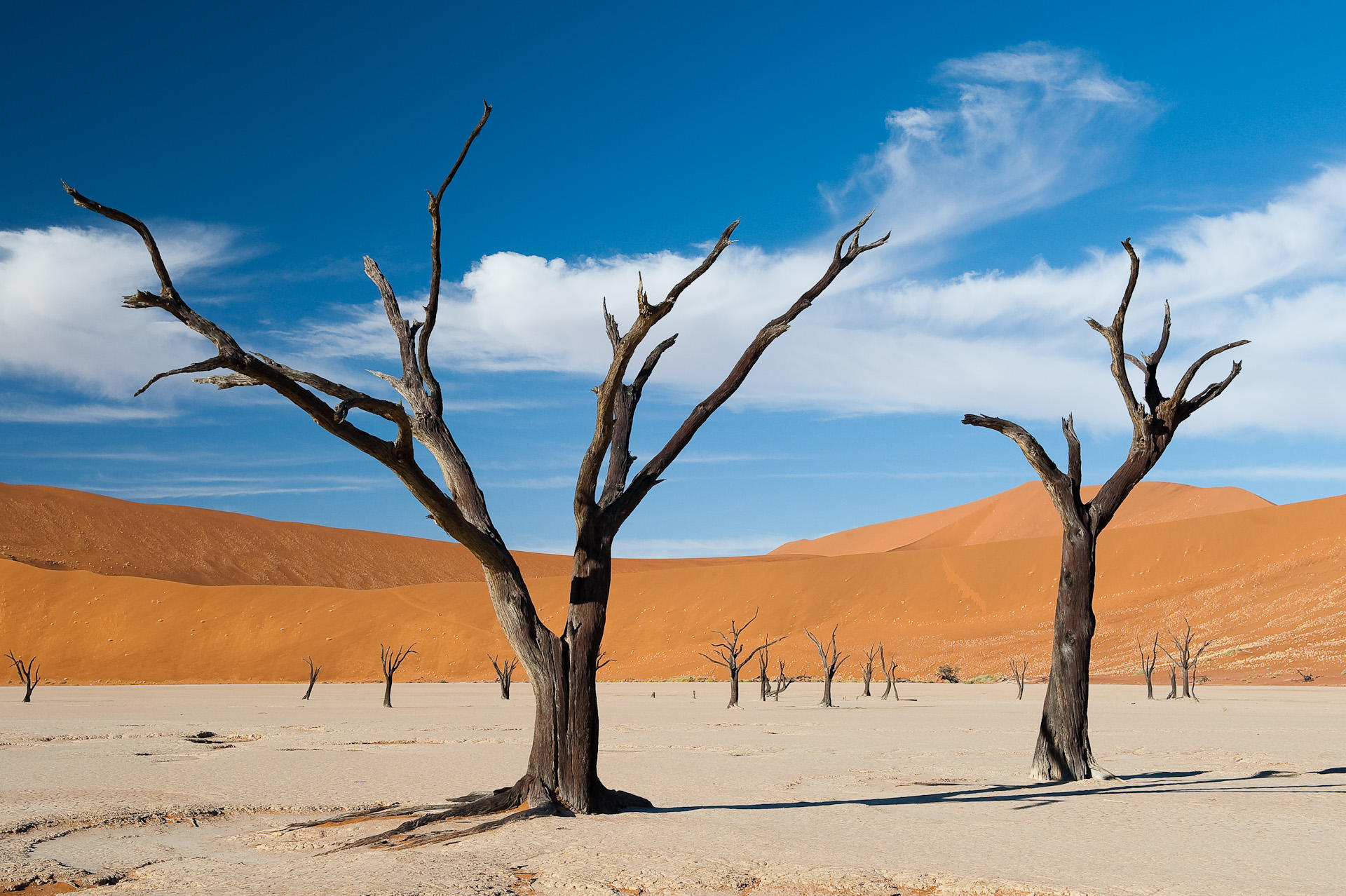 Little Kulala Lodge: Die berühmten Bäume der Deadvlei
