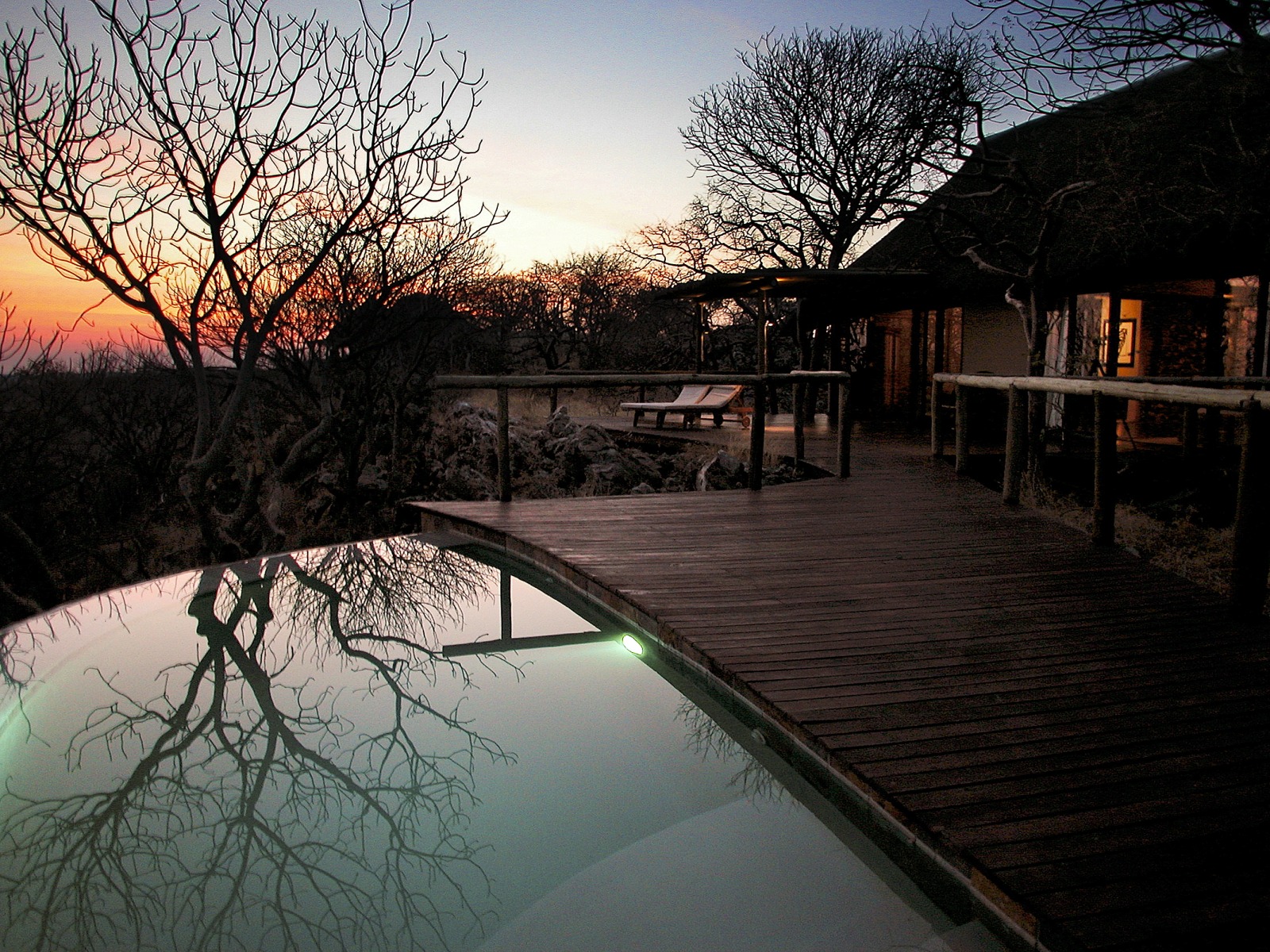 Little Ongava: Infinity Pool