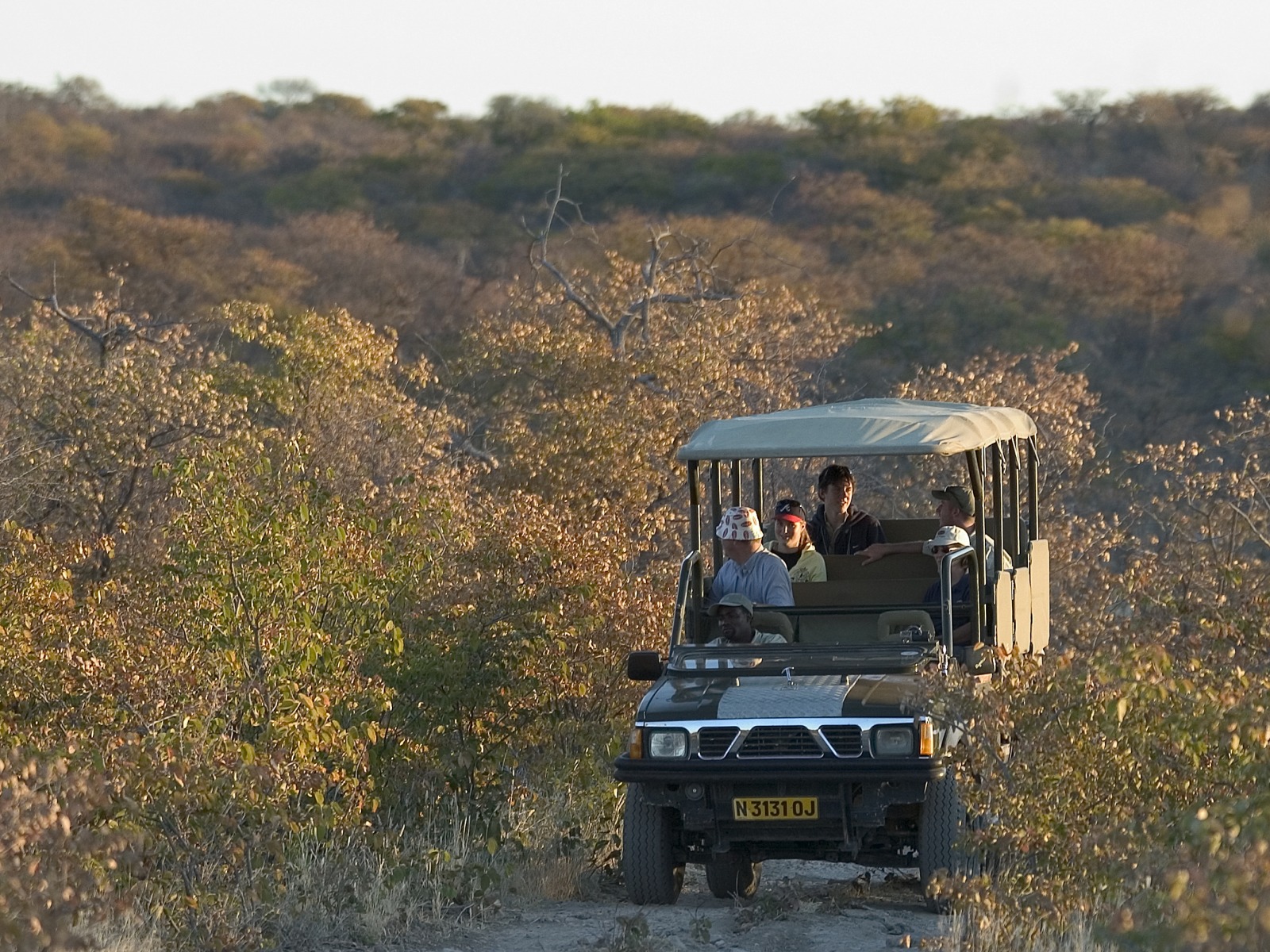 Little Ongava: Sunset Drive