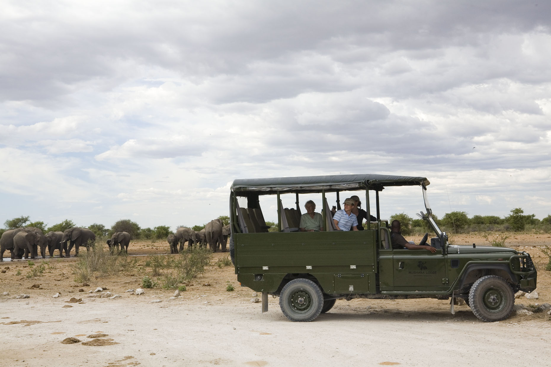Mushara Game Drive: Elefantenherde