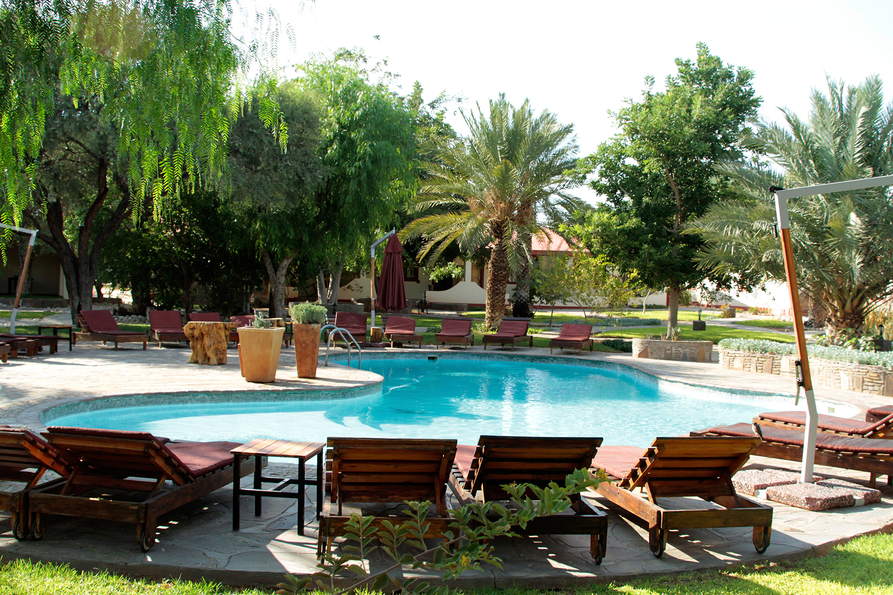 Namib Desert Lodge: Schattenspendende Bäume am Pool Gondwana Collection, Namib Desert Lodge, Namib Wüste, Namibia, Namib-Naukluft National Park, Namib-Sandmeer, Naukluft Mountainn Zebra Park, Sanddünen, UNESCO-Welterbe, Wüste, Bäume, Pool, Schatten, Sonnenliegen, Terrasse, Afrikarma, Afrikarma Safaris, Afrikarma Safaris – Wildnis. Hautnah., afrikarma.de