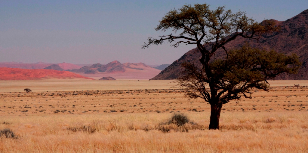 Namtib Desert Lodge: Halbwüste