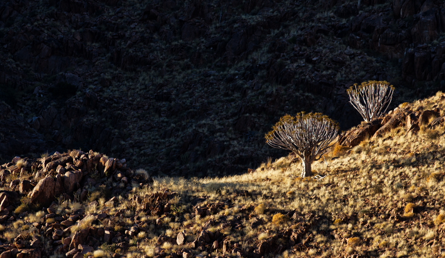 Namib Naukluft, Namtib Desert Lodge, Sossusvlei, Afrikarma, Afrikarma Safaris, Afrikarma.de