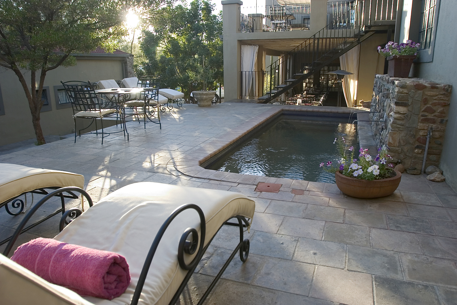 Olive Grove Guesthouse: Liegestühle am Pool Big Sky Lodges, Hauptstadtunterkunft, Olive Grove Guesthouse, Liegestühle, Swimming Pool, afrikarma, afrikarma Safaris, afrikarma.de