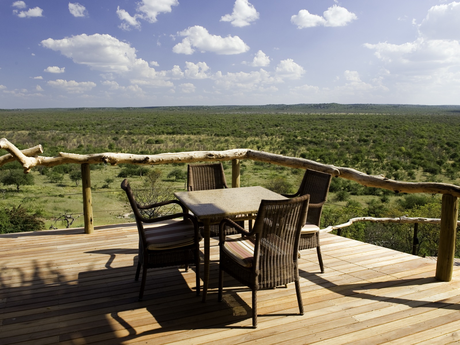 Ongava Lodge: Aussicht vom Deck Breitmaulnashorn, Etosha, Etosha National Park, Etoshapfanne, Großer Weißer Platz, Little Ongava, Ongava Lodge, Rhino Research Center, Spitzmaulnashorn, Aussicht, Deck, Sonnenschein