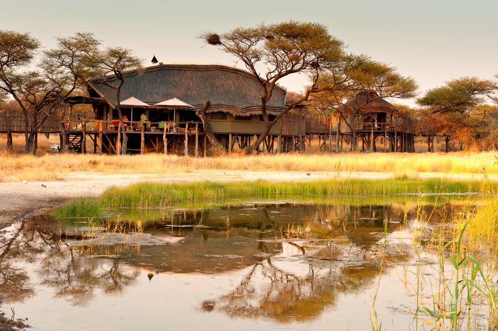 Etosha, Etosha National Park, Onguma, Onguma Reserve, Onguma Tree Top Camp, Deck, Hauptgebäude, Afrikarma, Afrikarma Safaris, Afrikarma Safaris - Wildnis. Hautnah., Afrikarma.de
