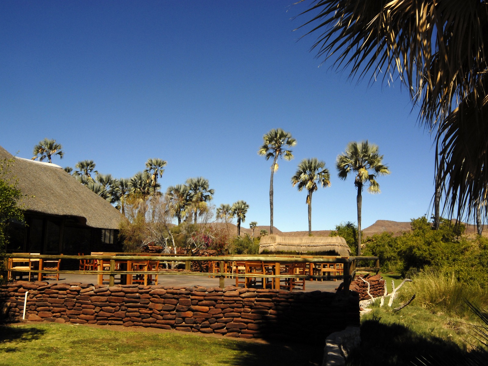 Black Rhino, Damaraland, Halbwüste, Palmwag Conservancy, Palmwag Lodge, Spitzmaulnashorn, Uniab River, Wüstenelefant