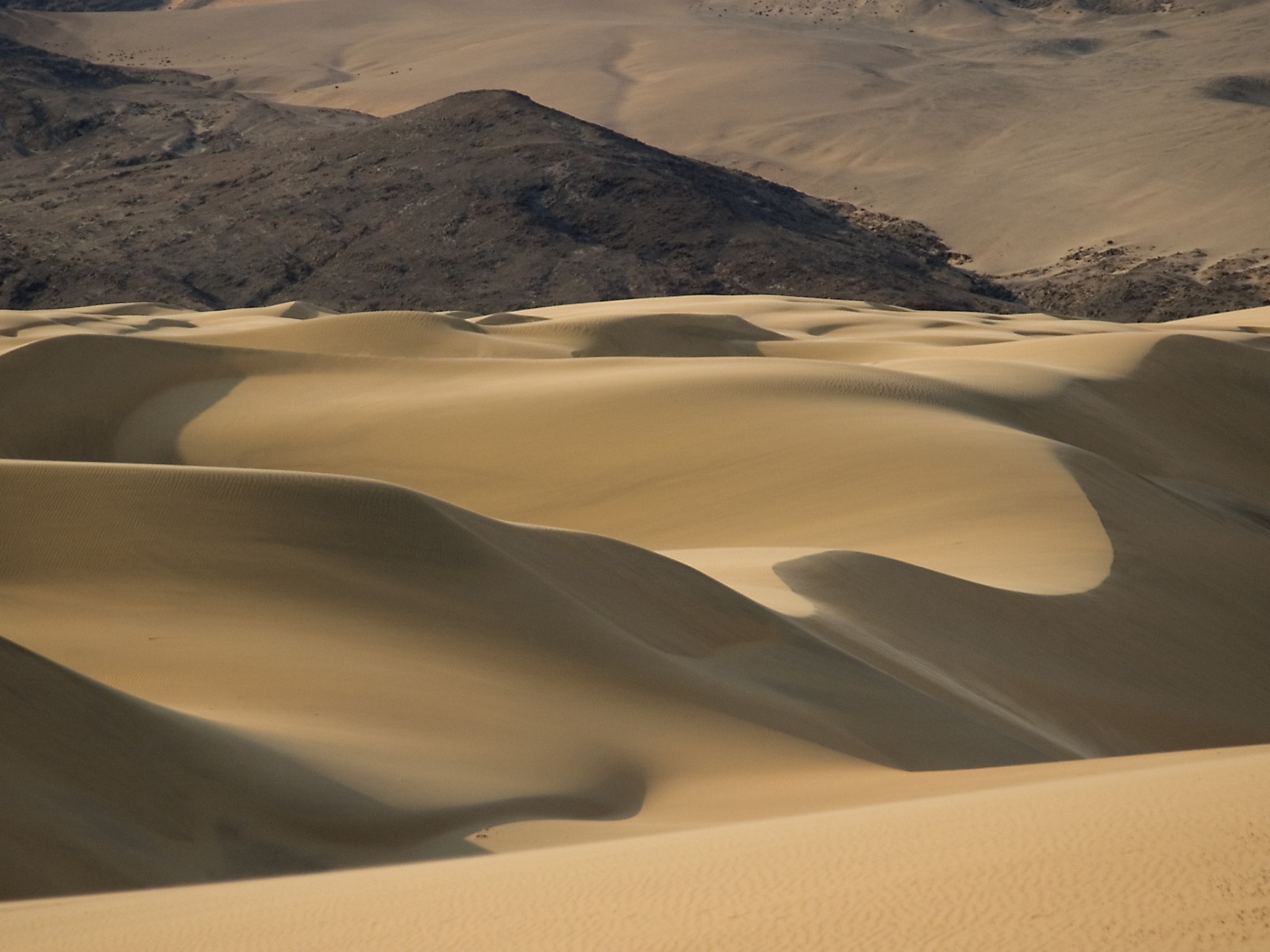 Bootsausflug, Dünen, Hartmann Valley, Hartmann-Tal, Kunene, Kunene River, Namib Desert, Namib-Wüste, Landschaft, Marienfluss, Otinjange River, Ovahimba, Serra Cafema, Serra Cafema Camp, Serra Cafema Lodge