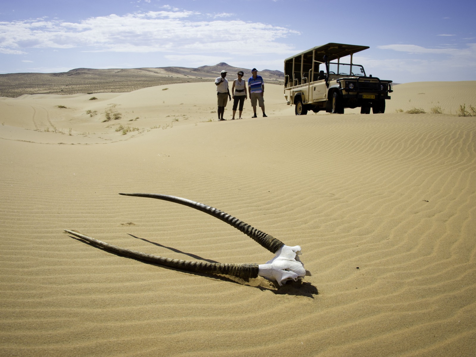 Bootsausflug, Dünen, Hartmann Valley, Hartmann-Tal, Kunene, Kunene River, Namib Desert, Namib-Wüste, Oryx, Oryxantilope, Oryxgehörn, Pirschfahrt, Marienfluss, Otinjange River, Ovahimba, Serra Cafema, Serra Cafema Camp, Serra Cafema Lodge