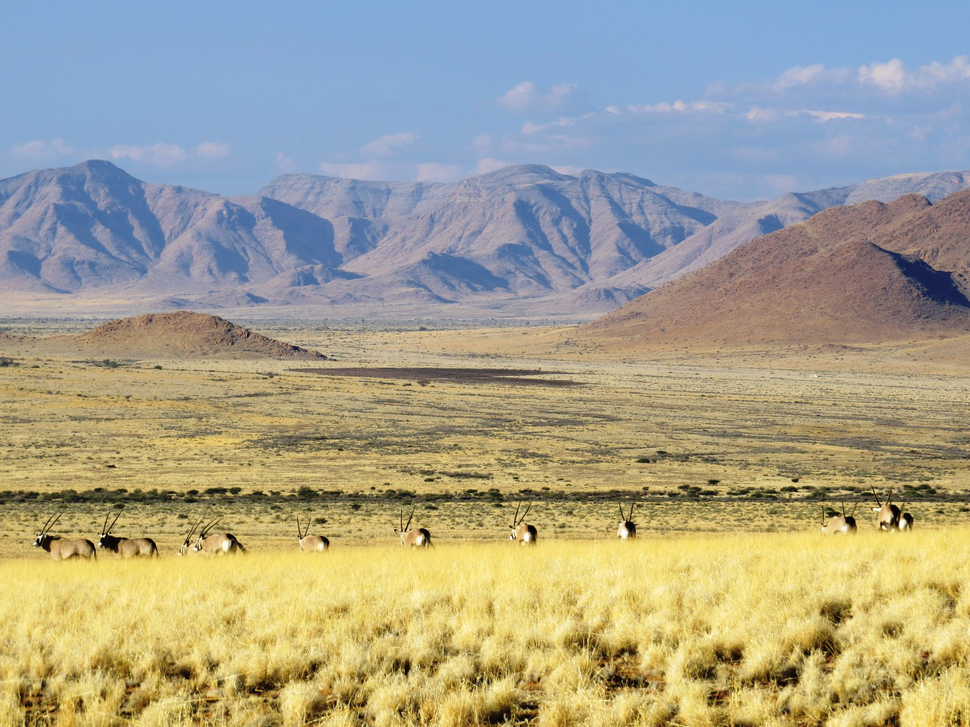 Heißluftballon, Namib, Namib Wüste, Namibia, Namib-Naukluft, Namib-Naukluft-Nationalpark, Natur, Naturwanderungen, Naukluftgebirge, Sanddünen, Sesriem, Sesriem-Canyon, Sesriem-Gate, Sossusvlei, Sossusvlei Lodge, Taleni Africa Tourism Holdings Ltd, Umwelt, Eco Award, Eco Award Namibia, Nachhaltigkeit, Adventure Center, Adventure Centre, Oryx, Wildnis, Wildtiere, afrikarma, afrikarma.de
