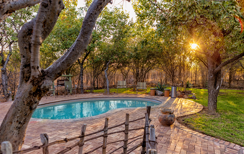 Taleni Etosha Village: Der Pool in grüner Umgebung Taleni Etosha Village: Der Pool in grüner Umgebung