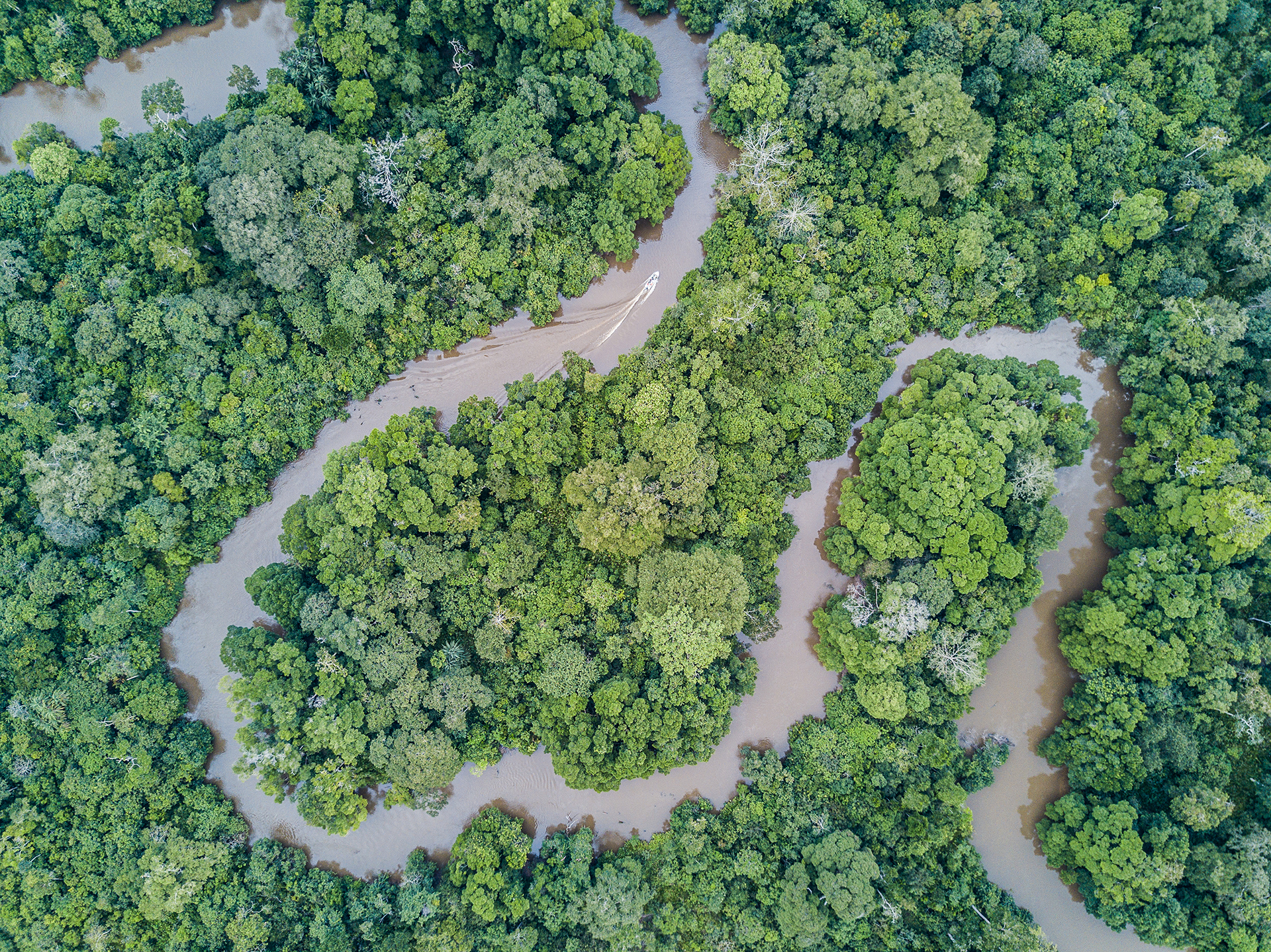 Mboko Camp: Der Lekoli River aus der Luft