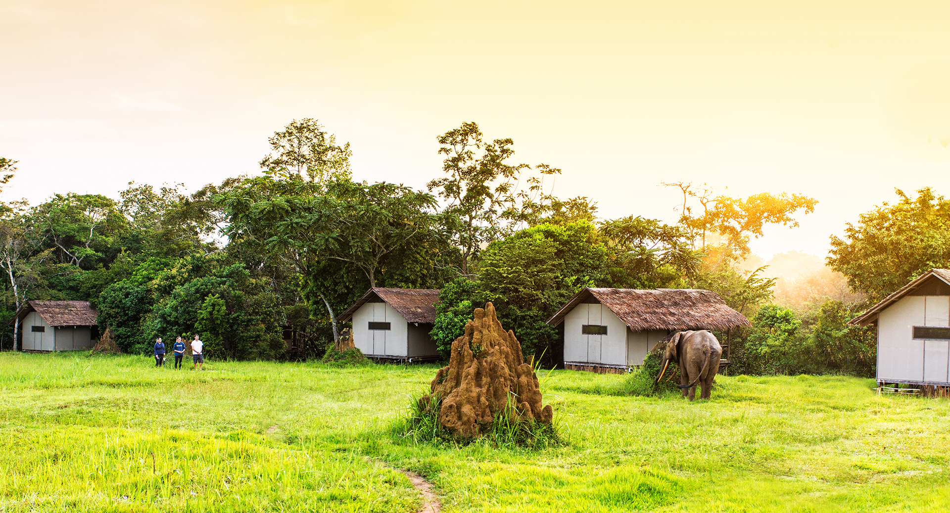Kongo, Mboko, Mboko Camp, Odzala, Odzala Discovery Camps, Odzala Nationalpark, Safari, Außenansicht, Gästeunterkunft, Afrikarma, Afrikarma Safaris, Afrikarma Safaris - Wildnis. Hautnah., afrikarma.de