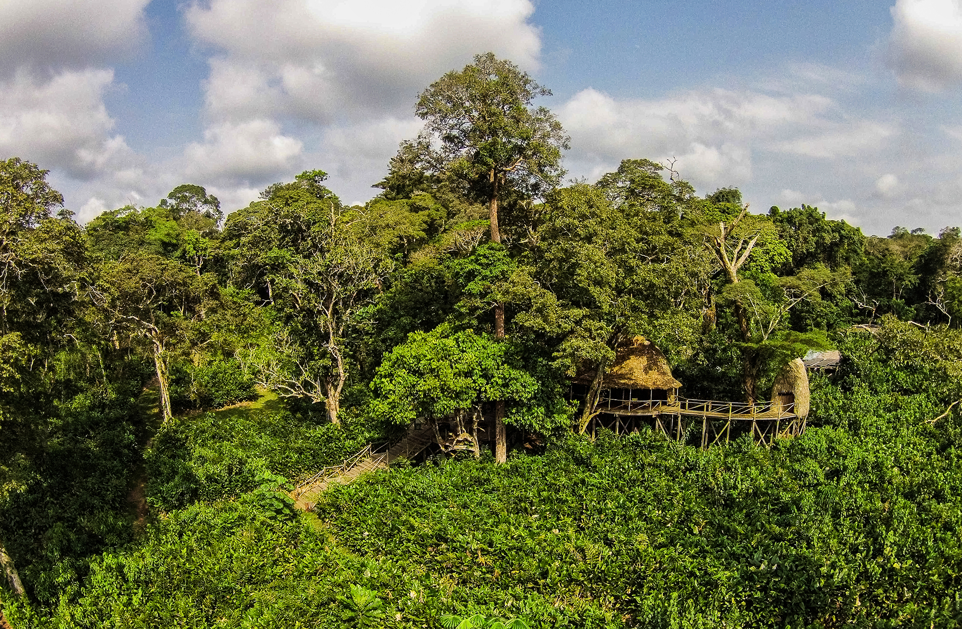 Congo Conservation Company, Ndzehi Forest, Ngaga Camp, Odzala Nationalpark, Außenansicht, Camp, Gästeunterkunft, Afrikarma, Afrikarma Safaris, Afrikarma Safaris - Wildnis. Hautnah., Afrikarma.de